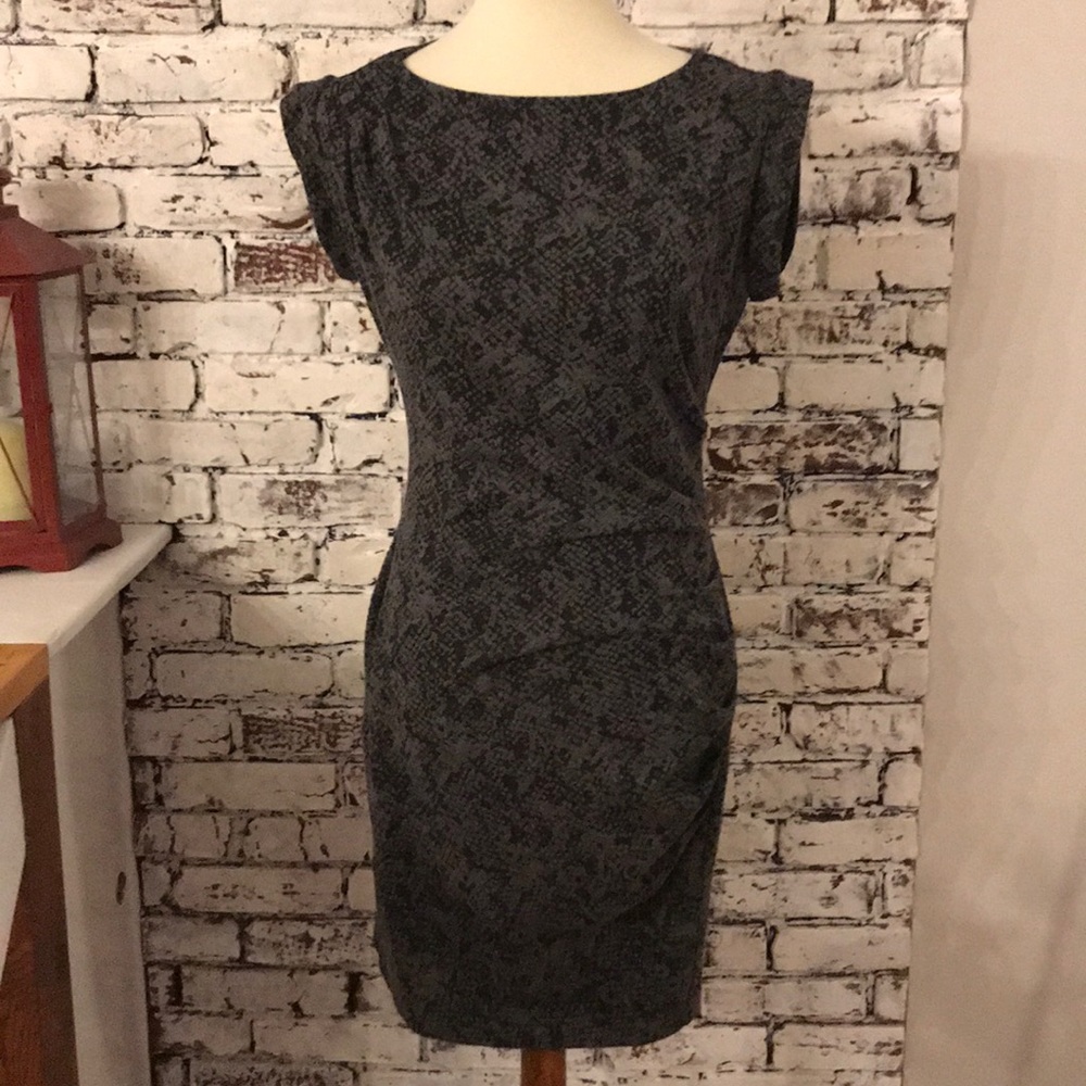 Anne Taylor Fitted Career Dress